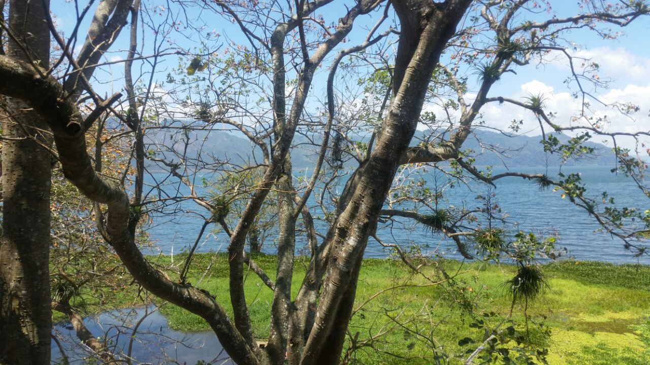 Vista del Lago de Yojoa